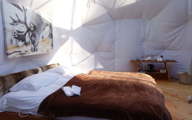 Wild Caribou Dome