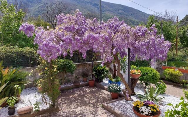 Secret pearl! Amalfi Coast, Pompei & Naples Free parking