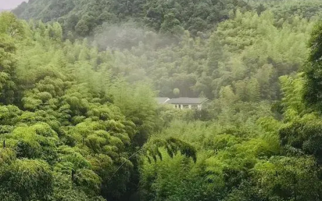 Yinxi 39 Boutique Homestay