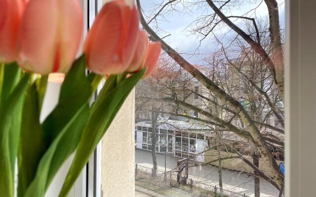 Уютная квартира на Бродвее с балконом