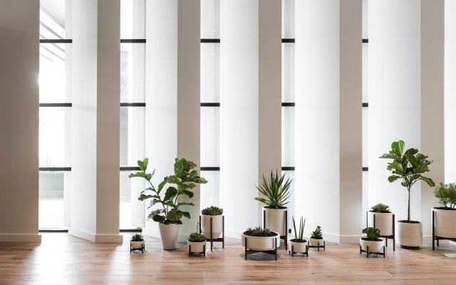 Kimpton Everly Hotel Hollywood by IHG