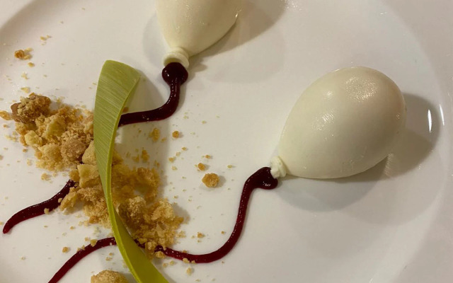 Hotel Waldorf - Premier Resort