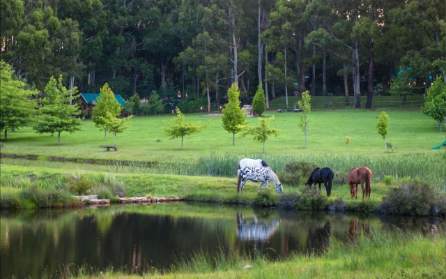 Dunkeld Country Estate