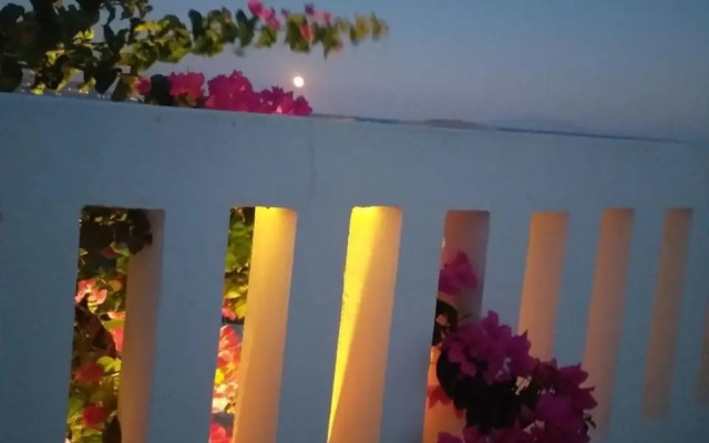 Rose's House