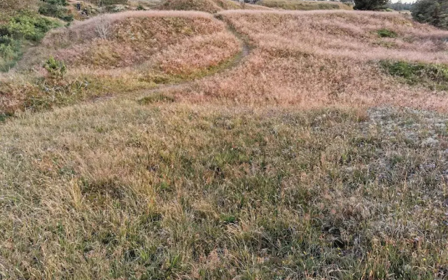 6 Person Holiday Home in Frederikshavn-by Traum