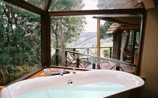 Phantom Forest Eco Reserve