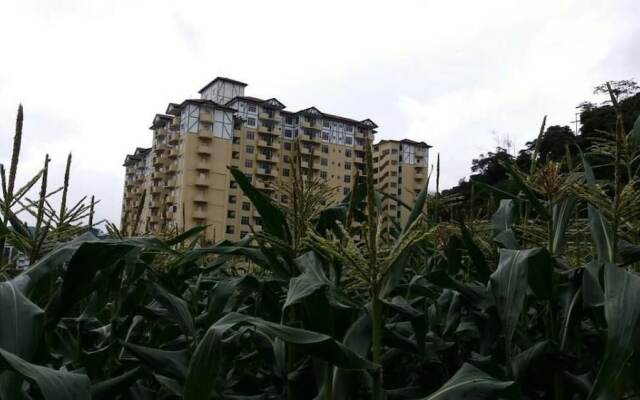 Aaron Apartment at Crown Imperial