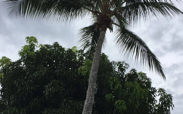 Tres Palmas Inn & Villas