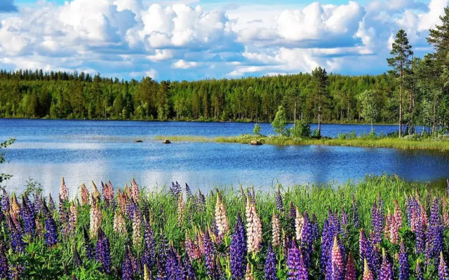 6 Person Holiday Home in Kopparberg-by Traum