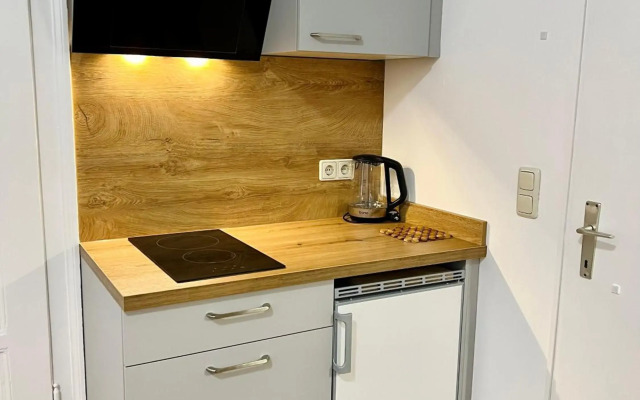 Apartment Loser im Zentrum