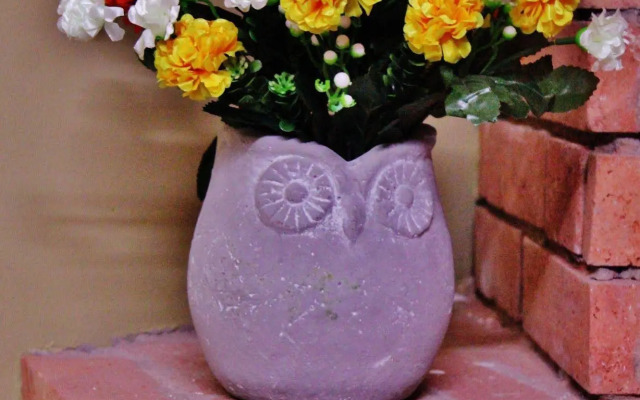 Red Fox Guesthouse