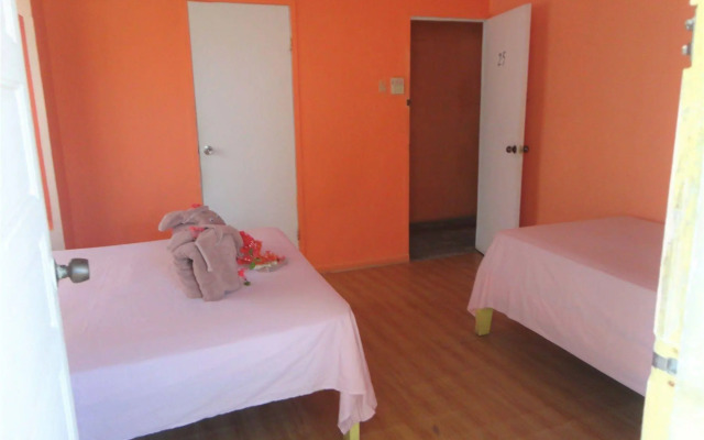 Tropical Paradise Hotel