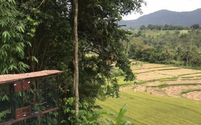 Natural View Sidemen Cottage
