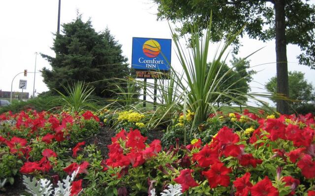 Comfort Inn South