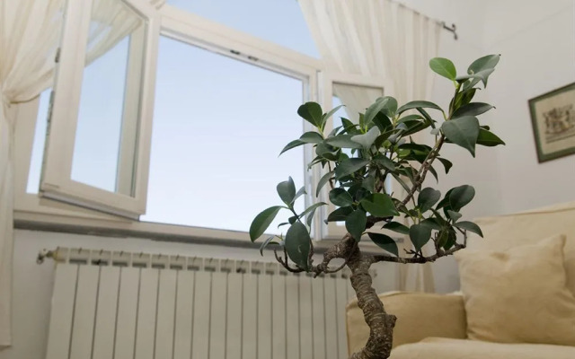 Bed & Breakfast Mamma Rosa