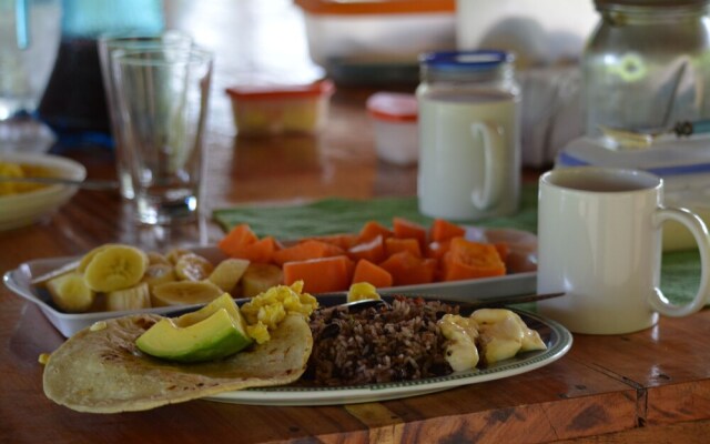 Albergue La Laguna Corcovado Park