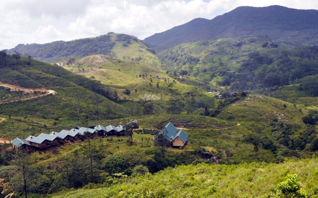 Wild Glamping Knuckles