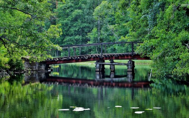 The Green House Guesthouse
