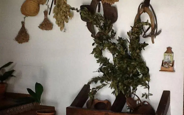 Posada San Antonio