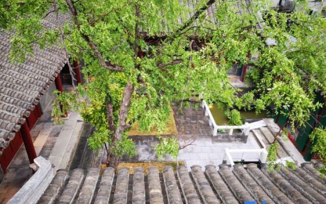 Bejing Heyuanzhixin courtyard（Wang Fujing，Tian'anmen）