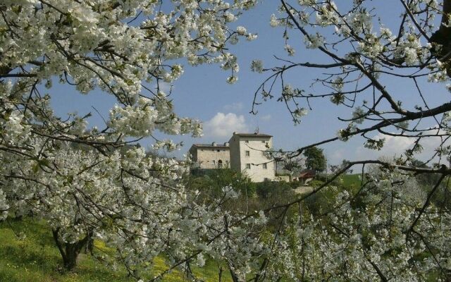 Pianaura suites - La Torre Tra Le Vigne