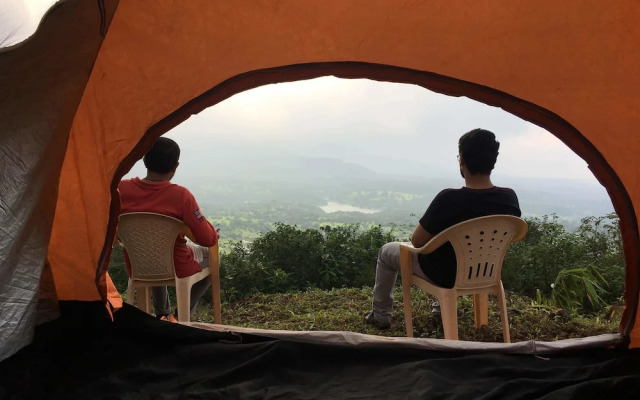 Canary Forest Camping