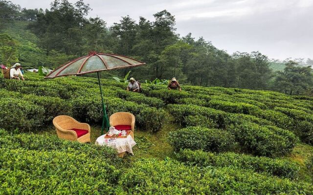Ging Tea House