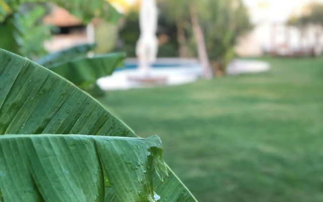 Triangulo Hotel