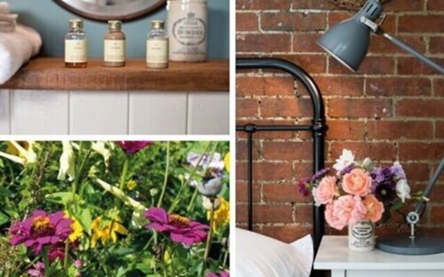 Starnash Bed & Breakfast