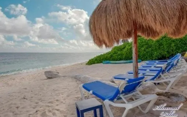 Hammock Heaven