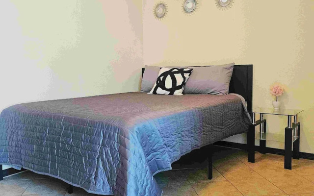 Apartment Near University