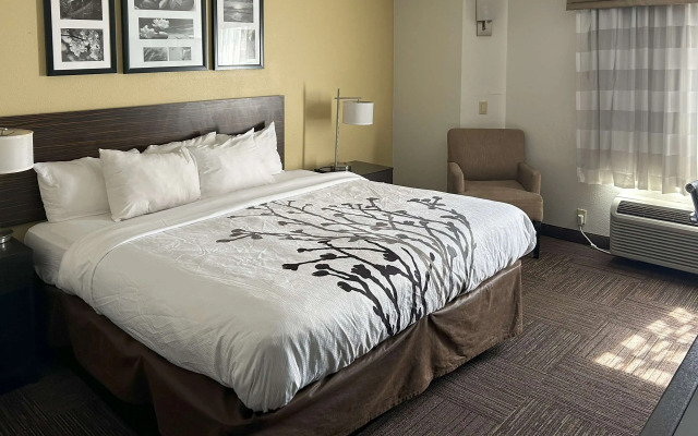 Sleep Inn Wilson near I-95