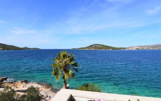 Galeb (ROZ101)