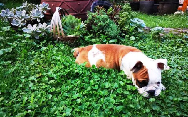 Yanzili Boutique Guesthouse