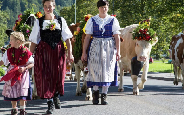 Cozy Apartment in Meiringen With Mountain View
