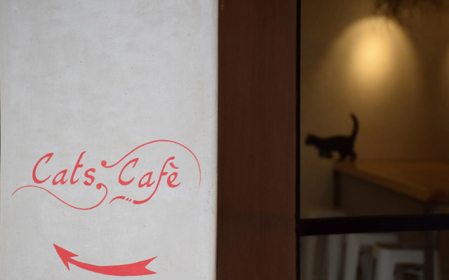 Miostello Lifestyle Riad Marrakech