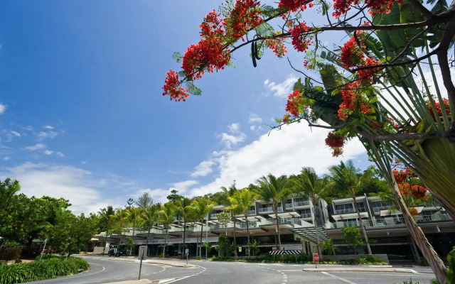 Coconut Grove
