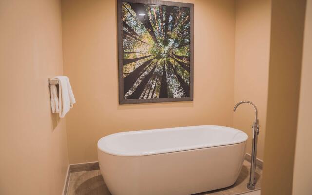 Tailwater Lodge Altmar, Tapestry Collection by Hilton
