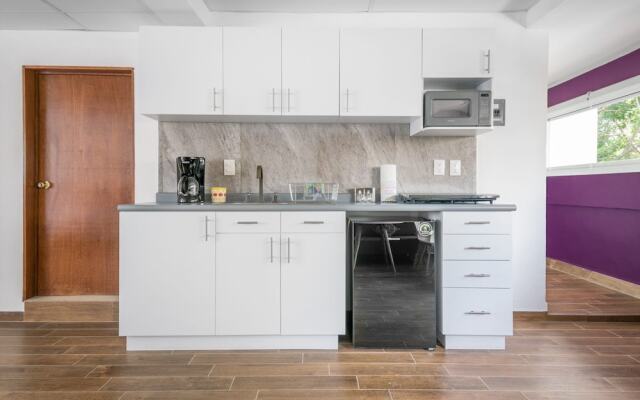 JUUB Deluxe Loft at Colonia ROMA