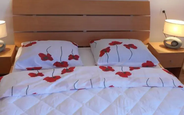Apartment Antonia Vrsi
