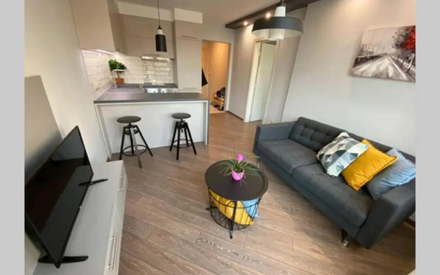 LUX 1BD/1BA City Center Apartment