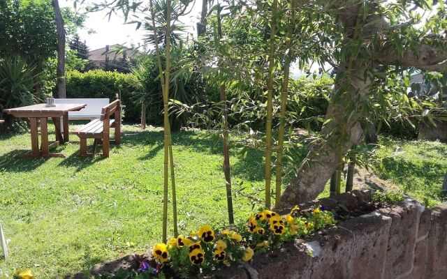 Pier delle Vigne B&B