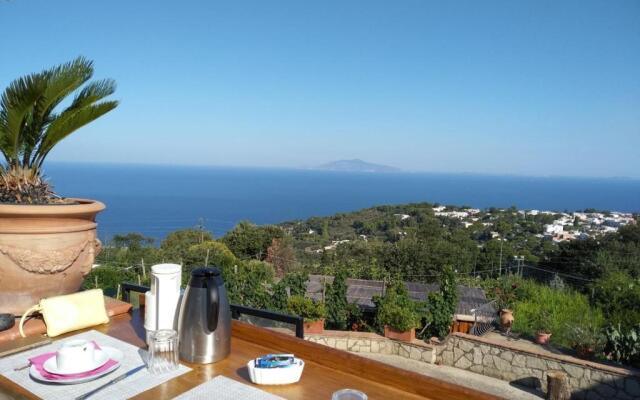 B&B Il Grappolo