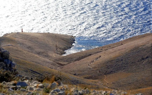 Draga - 15 m From Pebble Beach - SA1