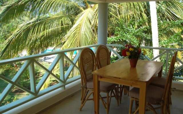 Oasis Tropical