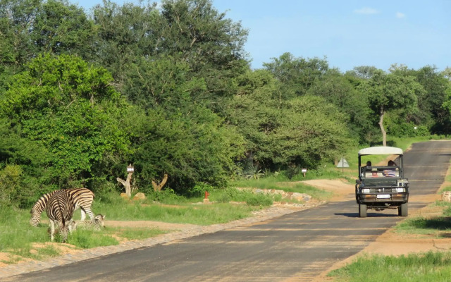 Wild Dog Guest Lodge