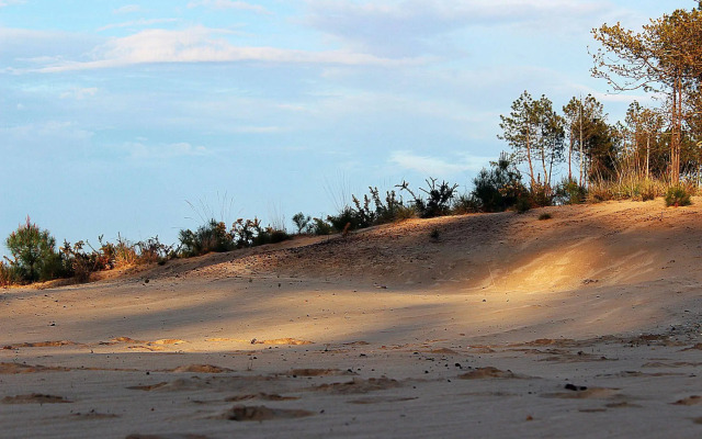 Au Ptit Creux Des Landes