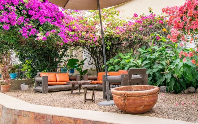 Cocos Hostal Boutique - Hostel
