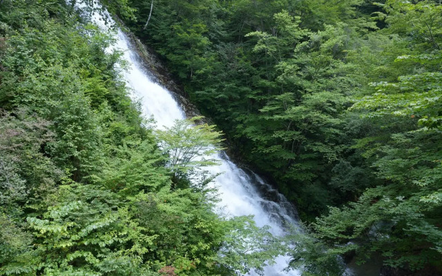 Shima Onsen YOSHIMOTO