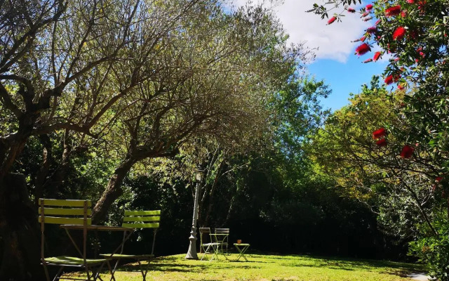 Les 2 Roses De Verdillon